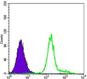 Anti-Hexokinase 1 antibody [3A10] used in Flow cytometry (FCM). GTX82790