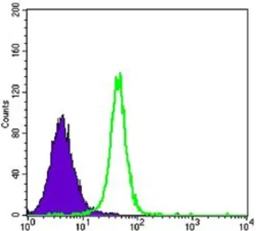 Anti-Hexokinase II antibody [3D3] used in Flow cytometry (FCM). GTX82791