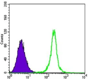 Anti-SIRT1 antibody [1F3] used in Flow cytometry (FCM). GTX82793