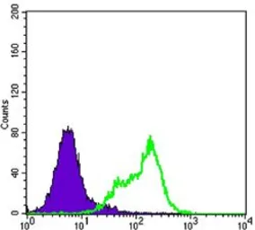 Anti-THAP11 antibody [3F3] used in Flow cytometry (FCM). GTX82796