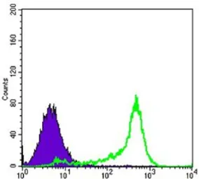 Anti-Bcl-2 antibody [8E12] used in Flow cytometry (FCM). GTX82803