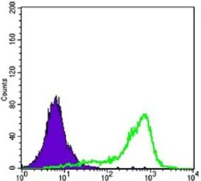 Anti-TORC1 antibody [1B5] used in Flow cytometry (FCM). GTX82805