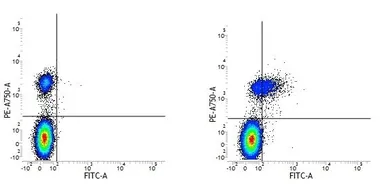 Anti-CD74 antibody [Bu45] (FITC) used in Flow cytometry (FCM). GTX82972