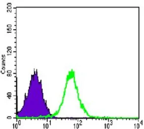 Anti-N-Cadherin antibody [5D5] used in Flow cytometry (FCM). GTX82992