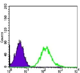 Anti-CDC2 antibody [8C5A7F10] used in Flow cytometry (FCM). GTX82994