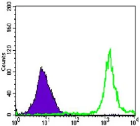 Anti-PARP antibody [7A10] used in Flow cytometry (FCM). GTX83005