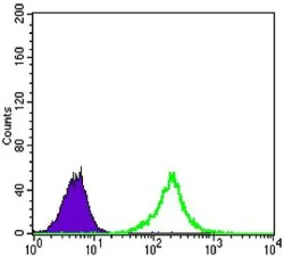 Anti-beta Catenin antibody [4D5] used in Flow cytometry (FCM). GTX83185