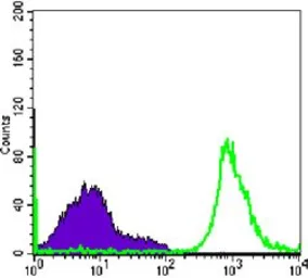 Anti-CD19 antibody [2E2] used in Flow cytometry (FCM). GTX83282
