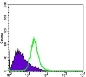 Anti-Nkx3.1 antibody [4H4] used in Flow cytometry (FCM). GTX83288