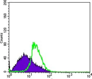 Anti-DDX4 antibody [2F9H5] used in Flow cytometry (FCM). GTX83289