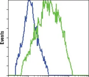 Anti-GFP antibody [4B10B2] used in Flow cytometry (FCM). GTX83292