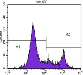 Anti-CD8 antibody [RAVB3] used in Flow cytometry (FCM). GTX83296