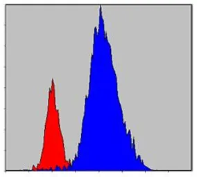 Anti-JAK3 antibody [5H2] used in Flow cytometry (FCM). GTX83303