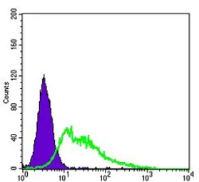 Anti-VEGF Receptor 2 antibody [4B4] used in Flow cytometry (FCM). GTX83308