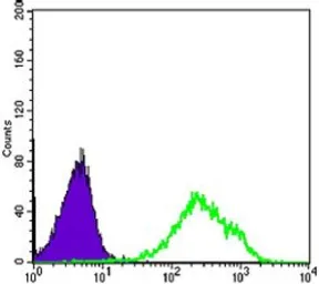 Anti-Daxx antibody [7A11] used in Flow cytometry (FCM). GTX83312
