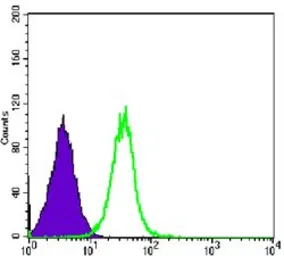 Anti-GSK3 beta antibody [3D10] used in Flow cytometry (FCM). GTX83315