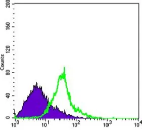 Anti-Wnt1 antibody [10C8] used in Flow cytometry (FCM). GTX83320
