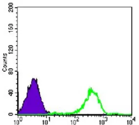Anti-FAK antibody [10H7E9] used in Flow cytometry (FCM). GTX83323