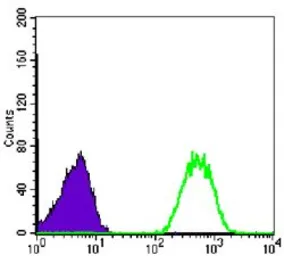 Anti-nm23-H1 antibody [4B2] used in Flow cytometry (FCM). GTX83325