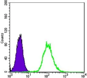 Anti-Cytokeratin 7 antibody [5D12] used in Flow cytometry (FCM). GTX83354