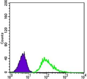 Anti-beta Tubulin 3/ Tuj1 antibody [2E9] used in Flow cytometry (FCM). GTX83356
