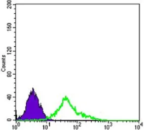 Anti-p75 NGF Receptor / CD271 antibody [2F1C2] used in Flow cytometry (FCM). GTX83360