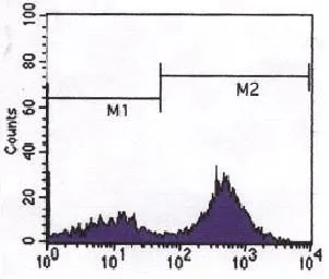 Anti-CD3 antibody [4D10A6] used in Flow cytometry (FCM). GTX83391