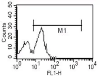 Anti-CD14 antibody [5A3] used in Flow cytometry (FCM). GTX83395