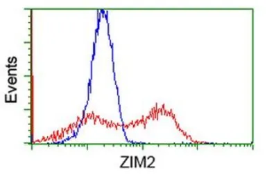 Anti-ZIM2 antibody [7G1] used in Flow cytometry (FCM). GTX83402