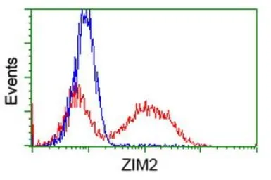 Anti-ZIM2 antibody [5E12] used in Flow cytometry (FCM). GTX83403