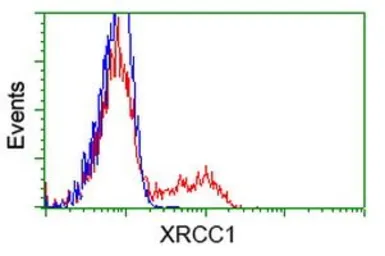 Anti-XRCC1 antibody [2D8] used in Flow cytometry (FCM). GTX83411