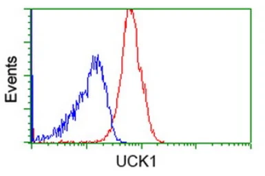 Anti-UCK1 antibody [1A12] used in Flow cytometry (FCM). GTX83442