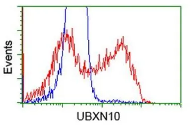 Anti-UBXN10 antibody [2F6] used in Flow cytometry (FCM). GTX83450
