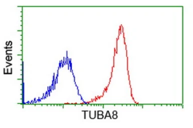 Anti-alpha Tubulin 8 antibody [2C2] used in Flow cytometry (FCM). GTX83461