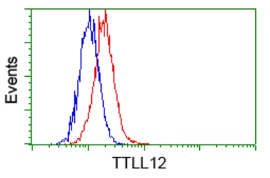 Anti-TTLL12 antibody [12B7] used in Flow cytometry (FCM). GTX83471