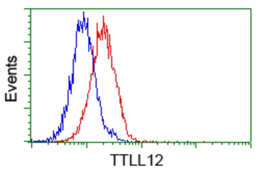 Anti-TTLL12 antibody [12B7] used in Flow cytometry (FCM). GTX83471