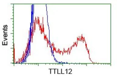Anti-TTLL12 antibody [12B7] used in Flow cytometry (FCM). GTX83471