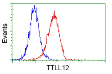 Anti-TTLL12 antibody [4B2] used in Flow cytometry (FCM). GTX83473
