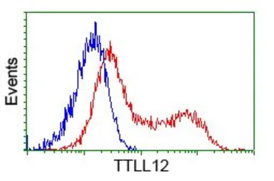 Anti-TTLL12 antibody [4B2] used in Flow cytometry (FCM). GTX83473