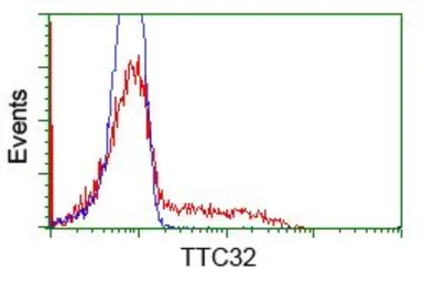 Anti-TTC32 antibody [5C12] used in Flow cytometry (FCM). GTX83482
