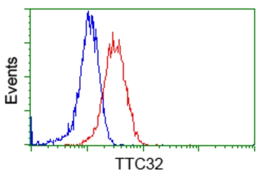 Anti-TTC32 antibody [1F7] used in Flow cytometry (FCM). GTX83486