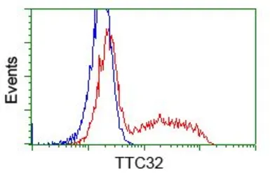 Anti-TTC32 antibody [1F7] used in Flow cytometry (FCM). GTX83486