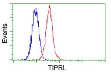 Anti-TIPRL antibody [3D11] used in Flow cytometry (FCM). GTX83511