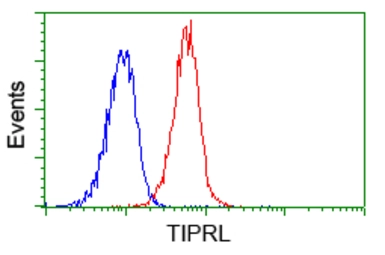 Anti-TIPRL antibody [3D11] used in Flow cytometry (FCM). GTX83511