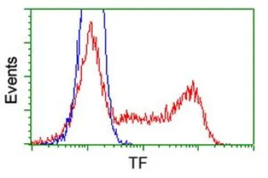 Anti-Transferrin antibody [5G2] used in Flow cytometry (FCM). GTX83513