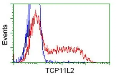 Anti-TCP11L2 antibody [2A10] used in Flow cytometry (FCM). GTX83518