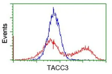 Anti-TACC3 antibody [1E11] used in Flow cytometry (FCM). GTX83529
