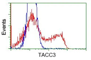 Anti-TACC3 antibody [6F1] used in Flow cytometry (FCM). GTX83531