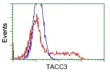 Anti-TACC3 antibody [8F6] used in Flow cytometry (FCM). GTX83534