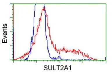 Anti-SULT2A1 antibody [4D7] used in Flow cytometry (FCM). GTX83539